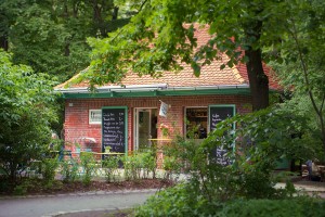 Greenhorn1